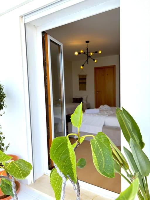 Nazare Boutique W Sea View And Private Rooftop Terace Εξωτερικό φωτογραφία